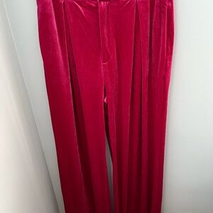 Pink Lily women’s pants, pink color, size‎ medium, velvet
